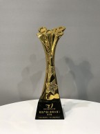 最佳产品（金砖大奖）