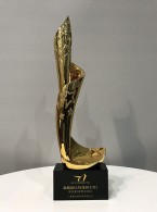 最具设计力（金砖大奖）