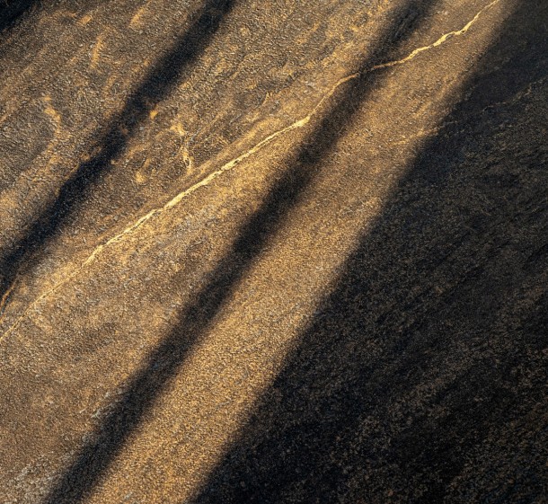 赏新悦目2025 |【人文主义】声系列，将自然美好形态生长在瓷砖上