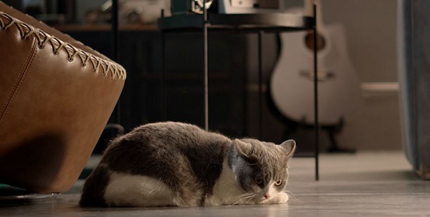 量子灰：精致生活触手可得